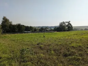 Prodej pozemku pro bydlení, Nové Lublice, 3046 m2