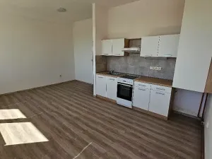 Pronájem bytu 2+kk, Mlékojedy, 50 m2