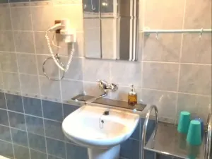 Prodej ubytování, Ostrov - Horní Žďár, 460 m2