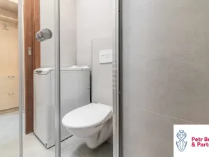 Pronájem bytu 1+kk, Rakovník, Šamotka, 20 m2