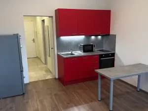 Pronájem bytu 1+kk, Praha - Libeň, Kurta Konráda, 39 m2