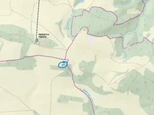 Prodej lesa, Svébohov, 239 m2