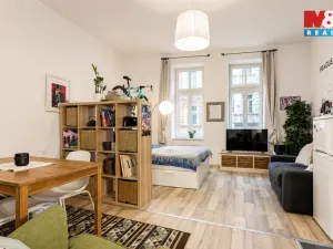 Pronájem bytu 1+kk, Praha - Žižkov, Bořivojova, 33 m2