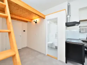 Pronájem bytu 1+kk, Praha - Vinohrady, Rejskova, 22 m2