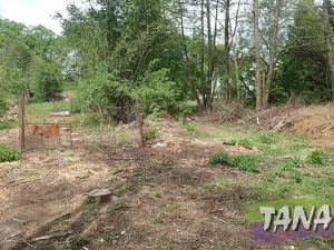 Prodej pozemku pro bydlení, Mladějov, 2297 m2