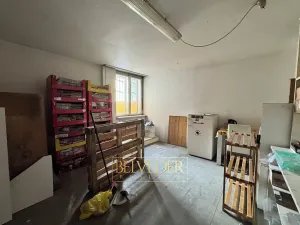 Pronájem obchodního prostoru, Teplice, Školní, 441 m2