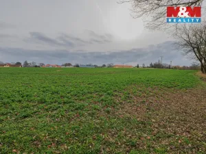 Prodej pozemku pro bydlení, Dobřany, 6134 m2