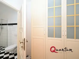 Pronájem bytu 2+1, Praha - Staré Město, Rybná, 55 m2