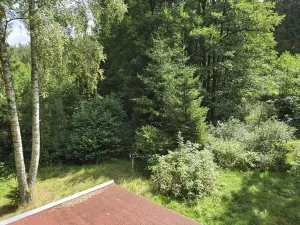Prodej chaty, Kraslice, 42 m2