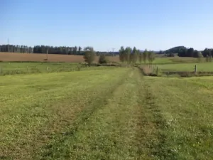 Dražba pozemku, Horní Ves, 3069 m2