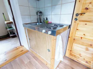 Prodej chalupy, Ludvíkov, 510 m2