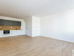 Prodej bytu 3+kk, Olomouc, Stará Víska, 72 m2