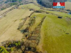 Prodej zahrady, Kladruby - Vrbice u Stříbra, 15633 m2