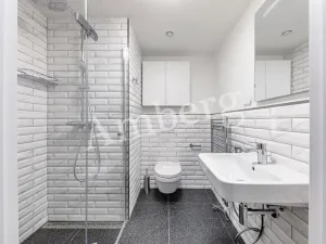 Pronájem bytu 1+kk, Praha - Karlín, Sokolovská, 28 m2