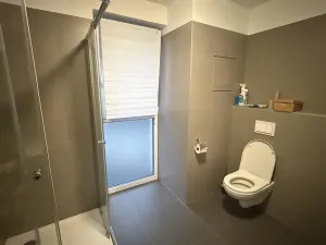 Pronájem bytu 1+kk, Pelhřimov, Lipická, 47 m2