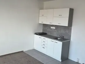 Pronájem bytu 1+kk, Praha - Kamýk, U Kamýku, 32 m2