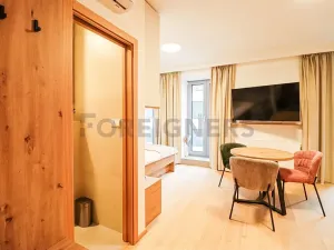 Pronájem bytu 1+kk, Brno, Cyrilská, 23 m2