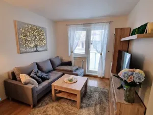 Pronájem bytu 3+1, Olomouc, 71 m2