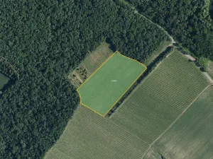 Prodej sadu/vinice, Bulhary, 63228 m2
