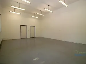 Pronájem skladu, Brandýs nad Labem-Stará Boleslav, Pražská, 45 m2
