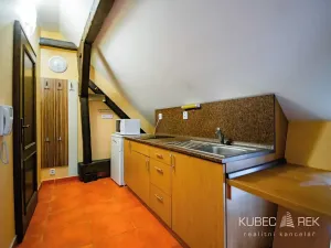 Pronájem bytu 1+kk, Jindřichův Hradec, Svatojánská, 59 m2