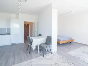 Pronájem bytu 1+kk, Beroun, Na Veselou, 44 m2