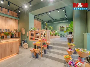 Pronájem obchodního prostoru, Plzeň - Jižní Předměstí, Americká, 145 m2