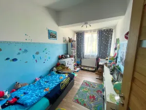 Prodej rodinného domu, Písek - Václavské Předměstí, Strakonická, 210 m2