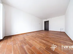 Pronájem bytu 1+kk, Olomouc, Třída Jiřího Pelikána, 33 m2