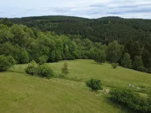 Prodej pozemku pro bydlení, Planá, 1218 m2