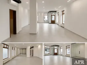 Pronájem obchodního prostoru, Uherský Brod, Kaunicova, 224 m2