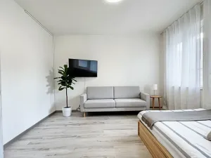 Prodej bytu 1+1, Ostrava, Bohumínská, 25 m2