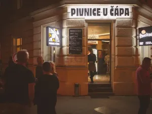 Pronájem bytu 1+kk, Brno, Jaselská, 22 m2