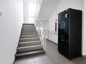 Pronájem skladu, Brno, Vinohradská, 153 m2