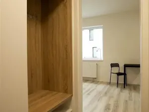 Pronájem bytu 1+kk, Praha, Štěchovická, 45 m2