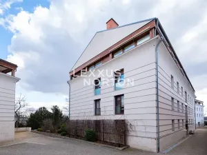 Pronájem bytu 5+1, Praha - Vinohrady, Americká, 190 m2