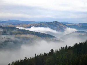 Prodej kanceláře, Karlovy Vary, Šumavská, 78 m2