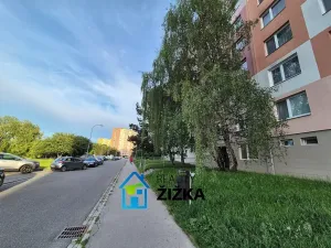 Pronájem bytu 1+1, Brno, Voříškova, 32 m2
