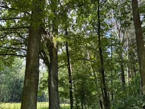 Prodej pozemku, Třeboň, 3744 m2