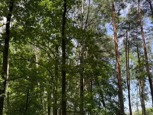 Prodej pozemku, Třeboň, 3744 m2