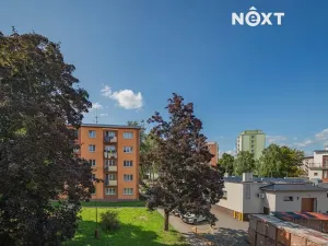 Pronájem bytu 3+1, Zábřeh, Křížkovského, 62 m2