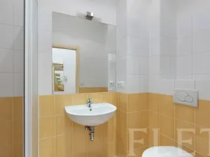 Pronájem bytu 1+1, Praha - Holešovice, Kamenická, 45 m2