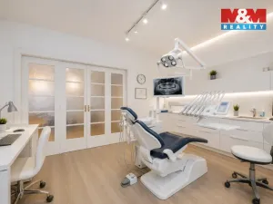 Prodej rodinného domu, Přerov - Přerov I-Město, Nerudova, 294 m2
