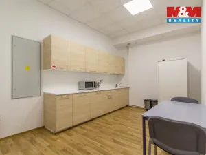 Pronájem kanceláře, Praha - Bubeneč, Podbabská, 18 m2