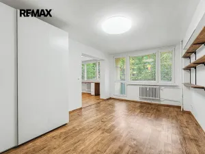 Pronájem bytu 1+1, Kralupy nad Vltavou, Přemyslova, 40 m2