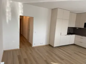 Pronájem bytu 2+kk, Brno, Kociánka, 50 m2
