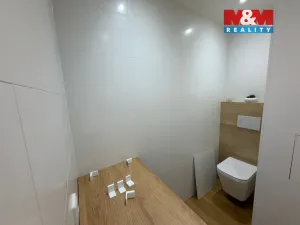 Pronájem bytu 1+1, Louny, 17. listopadu, 36 m2