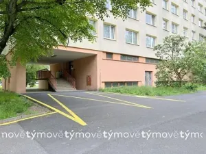 Pronájem bytu 1+kk, Pardubice, Družby, 35 m2