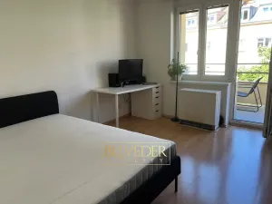 Pronájem bytu 1+kk, Praha - Nusle, Bohuslava ze Švamberka, 25 m2