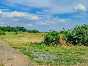 Prodej pozemku pro bydlení, Horní Beřkovice, 1189 m2
